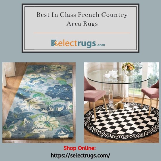Area Rugs: French Country Area Rugs at Discounted Prices