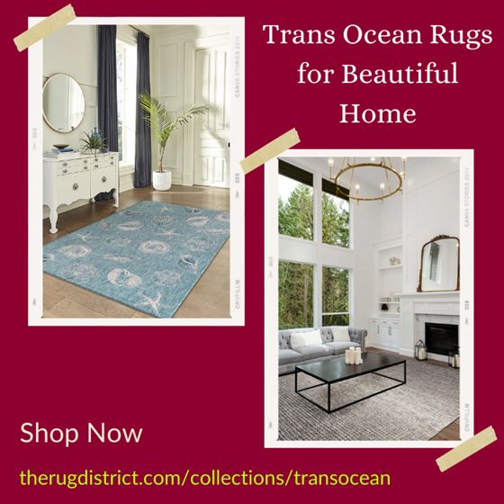 Area Rugs: Trans Ocean Rugs for Beautiful Home - Shop Now